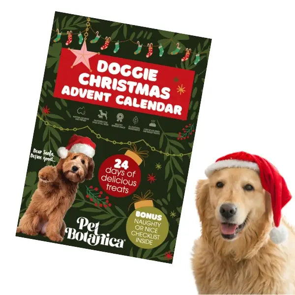 DOG TREATS | Pet Botanica: 2024 Christmas Advent Calendar