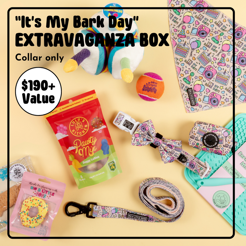 BIRTHDAY EXTRAVAGANZA BOX: "It&