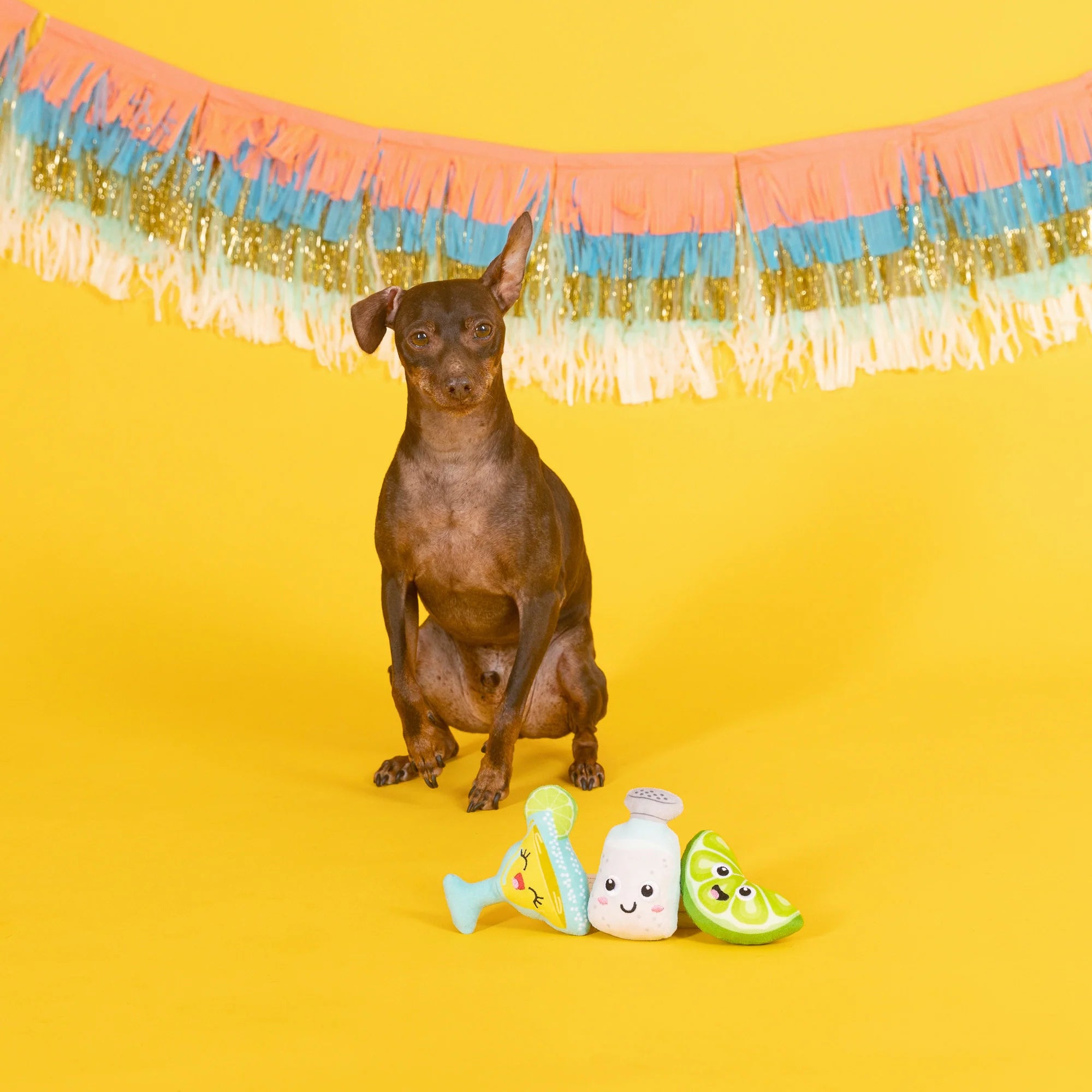 Fringe Studio: Small Dog Toy On Margarita Time 3PK