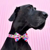 DOG COLLAR (+ BOW TIE option): Beary Sweet