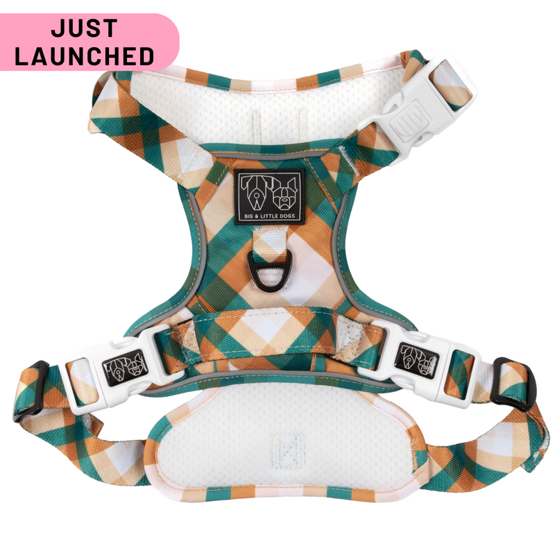 THE ALL-ROUNDER DOG HARNESS: Grandpa Plaid (NEW!)