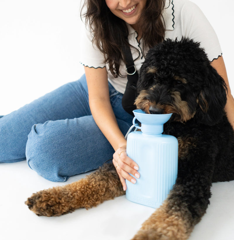 Springer: Growler Dog Water Travel Bottle - Sky Blue (NEW)