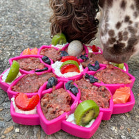 Soda Pup: Mandala eTray Slow Feeder eTray: Pink