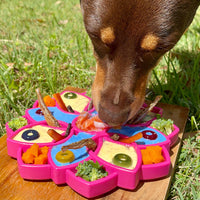 Soda Pup: Mandala eTray Slow Feeder eTray: Pink