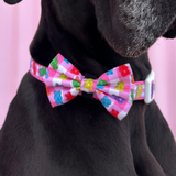 DOG COLLAR (+ BOW TIE option): Beary Sweet