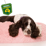 Kloud9 Teddy - Australia's Best Calming Dog Bed (Aus Made!): Pink / Small