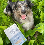 DOG MEAL TOPPER | Rover Pet Products Meal Topper and Enhancer - Gutsy-Goat Tripe Superfood 80g