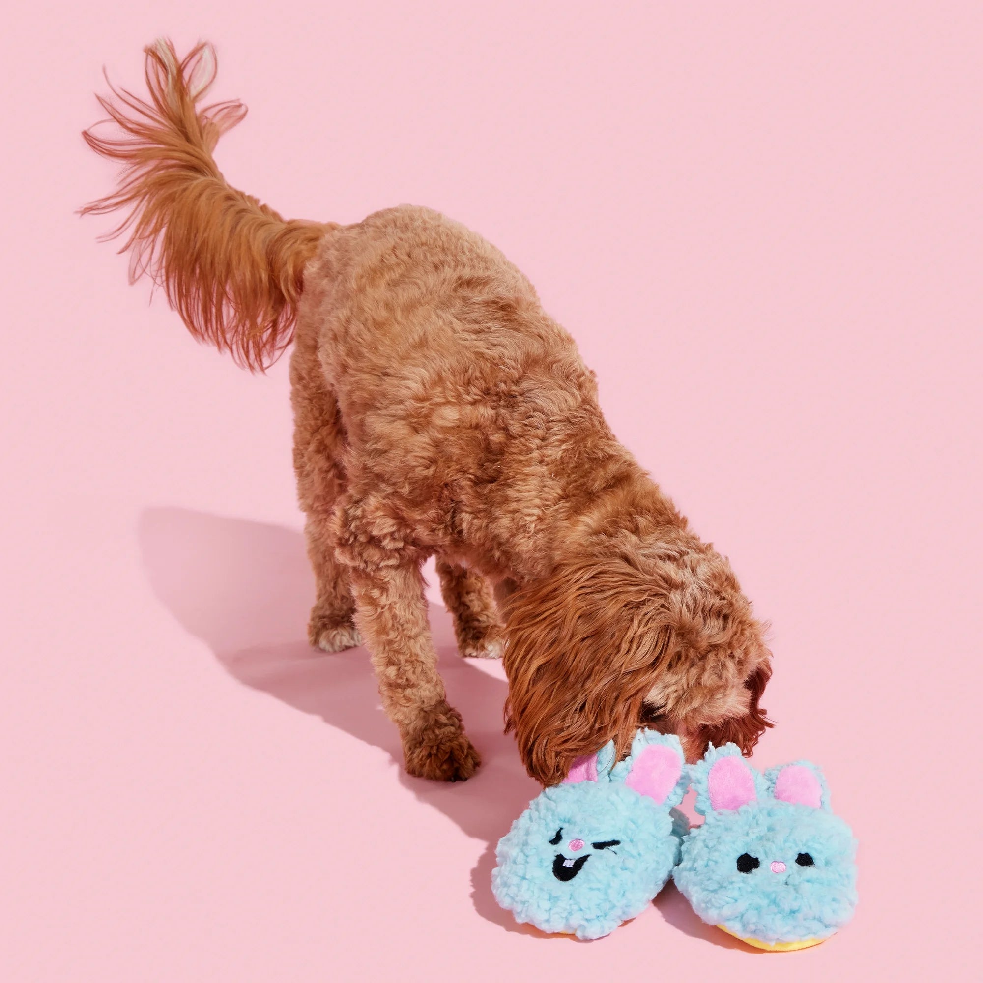 BARK: Yippy & Skippy Easter Slippies