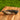 Pick 'n' Mix | Goat Horn | 1 Pce
