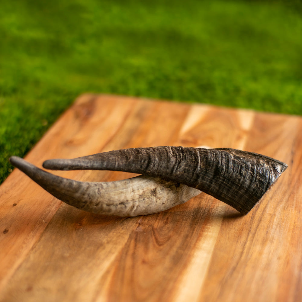 Pick 'n' Mix | Goat Horn | 1 Pce