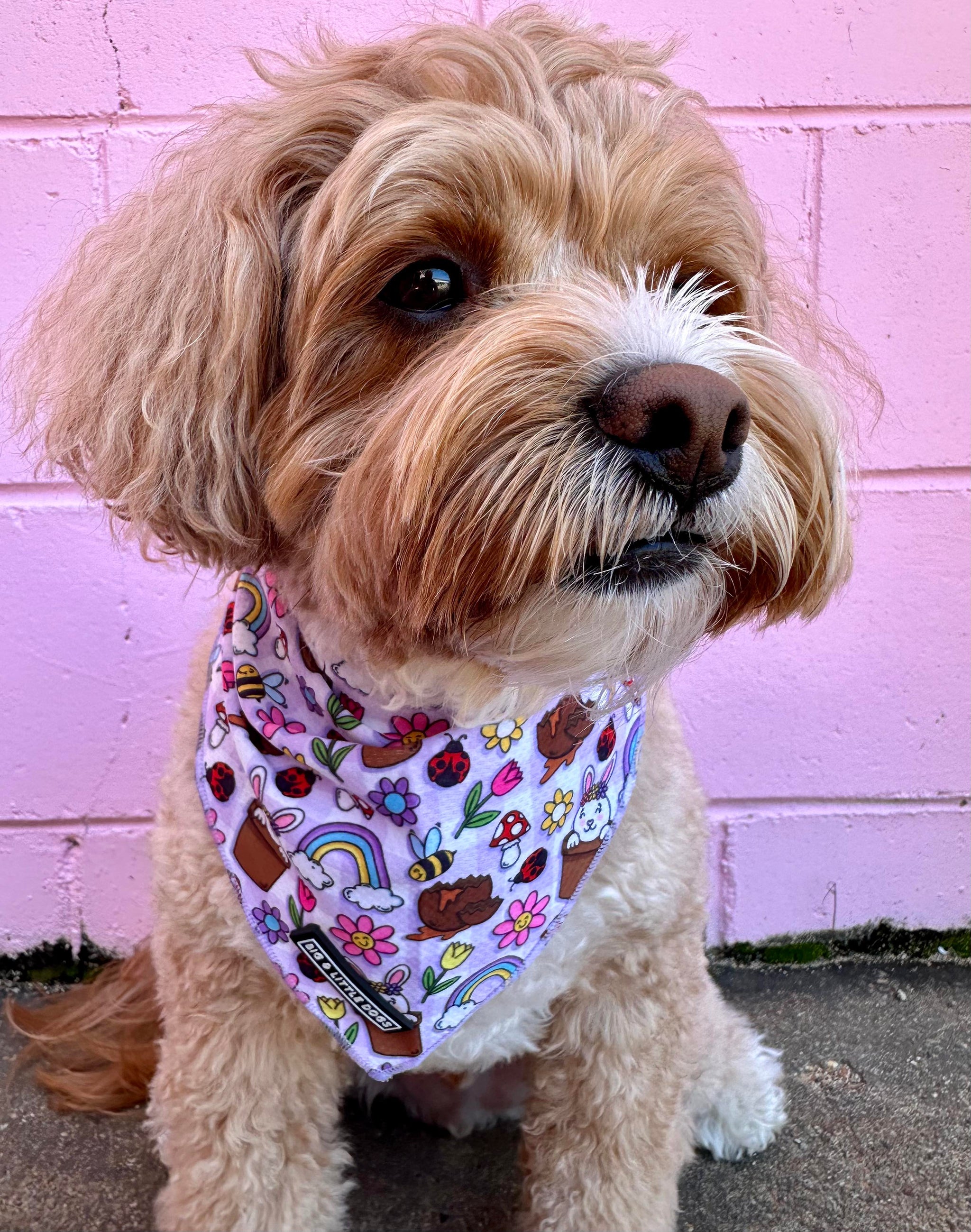 DOG BANDANA: Yappy Easter {FINAL SALE}