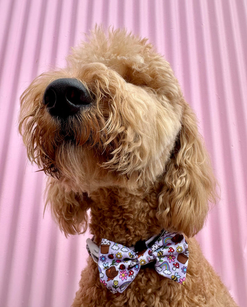 DOG COLLAR & BOW TIE: Yappy Easter {FINAL SALE}