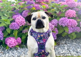 THE ALL-ROUNDER DOG HARNESS: Petal Paradise