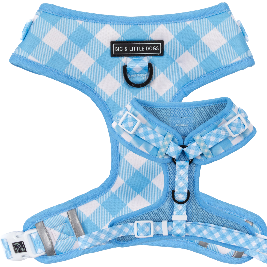 ADJUSTABLE DOG HARNESS: Blueberry Gingham