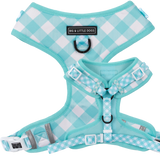 ADJUSTABLE DOG HARNESS: Peppermint Gingham