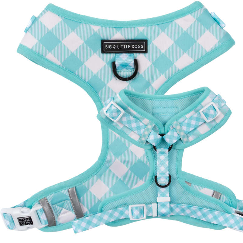 ADJUSTABLE DOG HARNESS: Peppermint Gingham (NEW!)