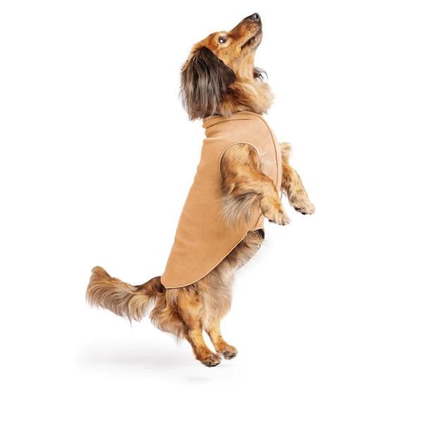 Goldpaw: DOG STRETCH FLEECE | Chipmunk