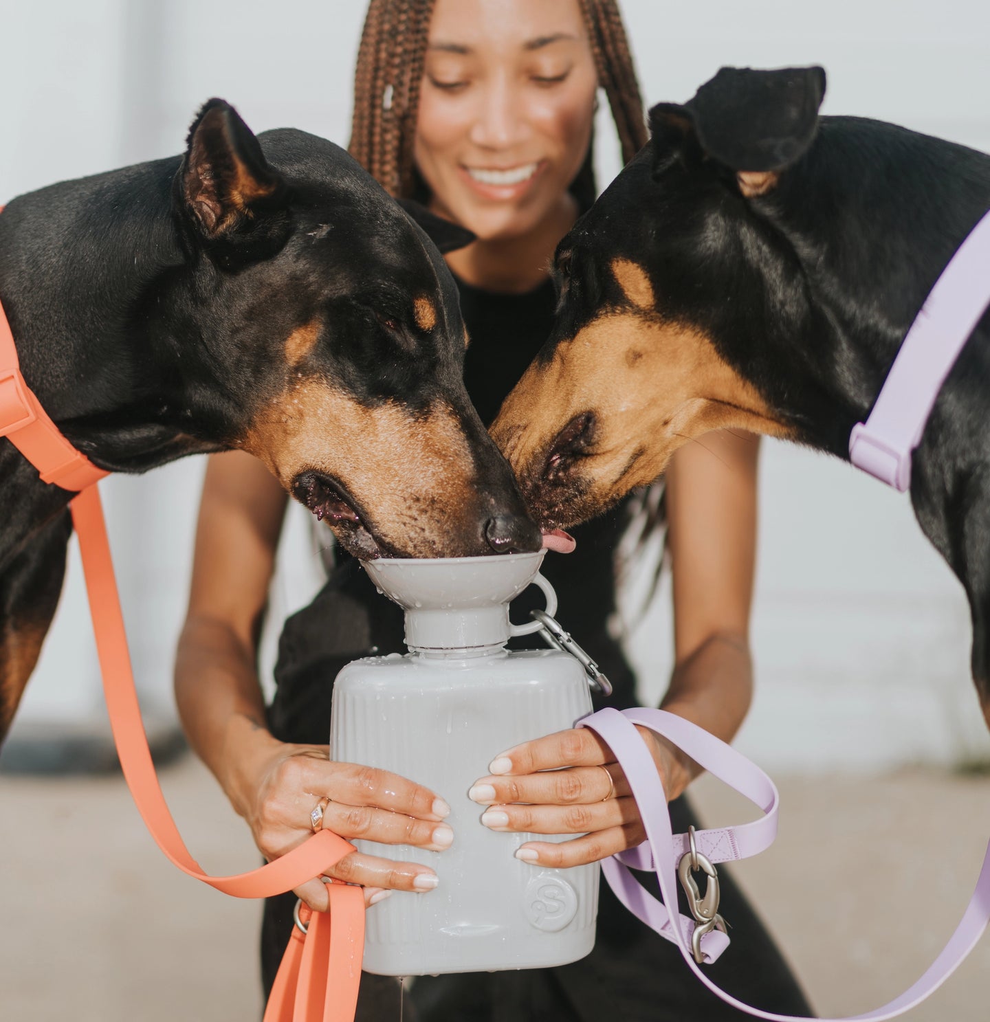 Springer: Growler Dog Water Travel Bottle - Gray