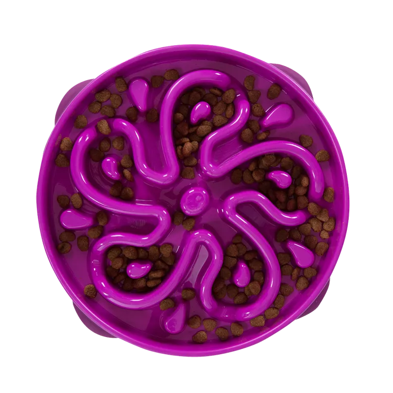 Outward Hound: Fun Feeder | Large | Purple