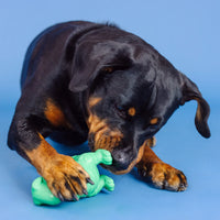 Fringe Studio: Tough Chew-ers - Dino-mite Rubber Dog Toy (NEW)