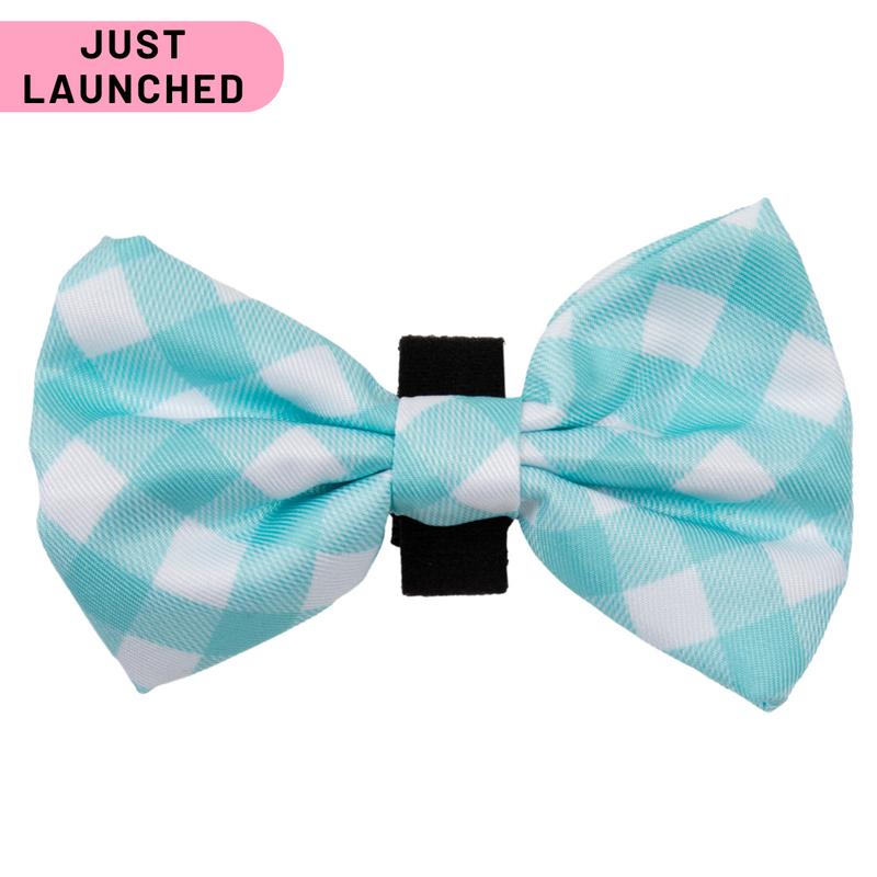 DOG BOW TIE | Peppermint Gingham (NEW!)