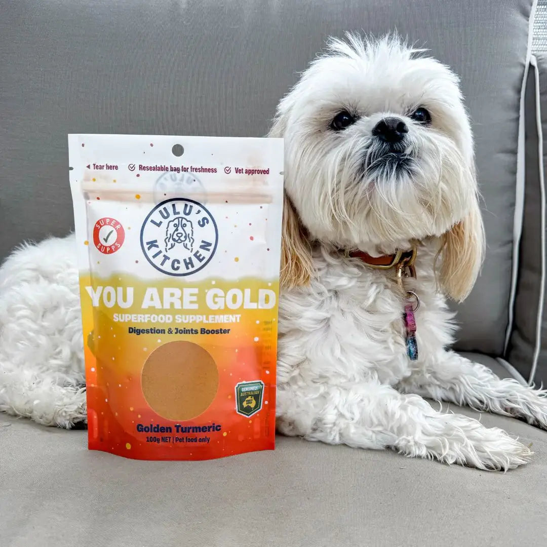 DOG SUPPLEMENT | Rover Pet Products: You Are Gold - Digestion & Joints Booster Supp (NEW)