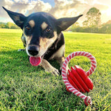 Rover Pet Products: Power Chewer Dog Toy - Heart On A String (NEW)