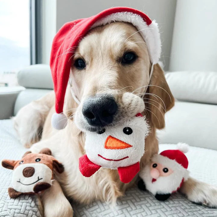 Patchworkpet: Holiday Friends Trio 4"