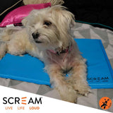 Scream: Cool Pad Blue - Small