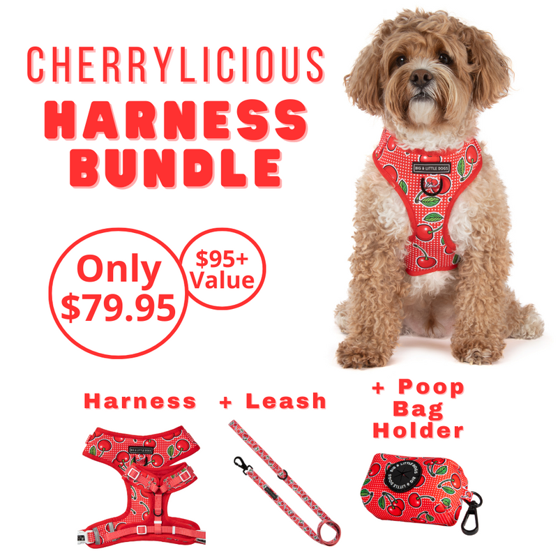 HARNESS BUNDLE: Cherrylicious