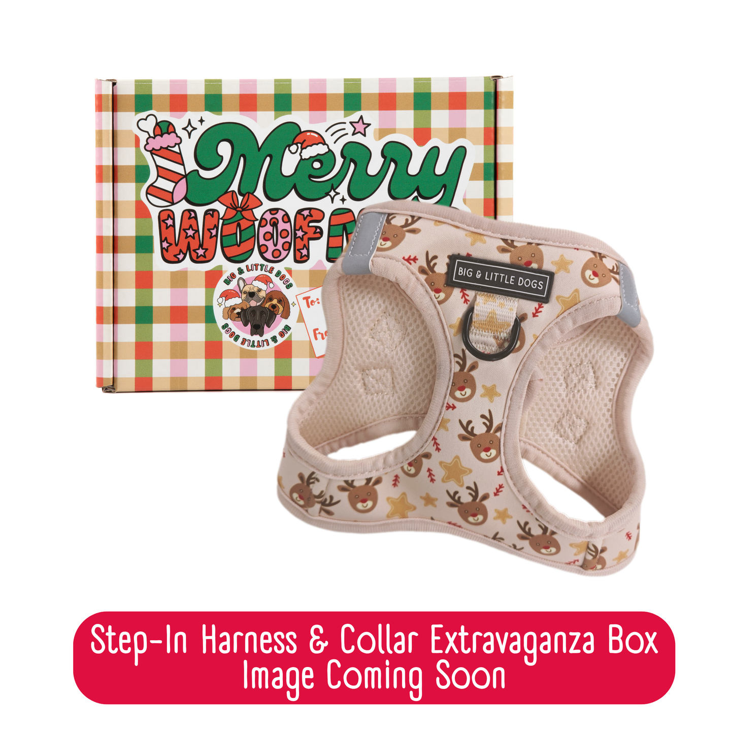 CHRISTMAS EXTRAVAGANZA BOX: "Dashing Through The Stars" Step-In Harness & Collar