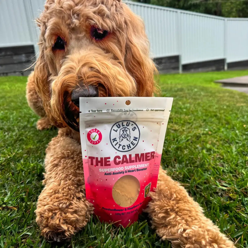 DOG SUPPLEMENT | Rover Pet Products: The Calmer - Anti-Anxiety & Heart Booster Supp (NEW)