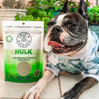 DOG SUPPLEMENT | Rover Pet Products: Hulk - Anti-inflammatory & Immune System Booster Supp