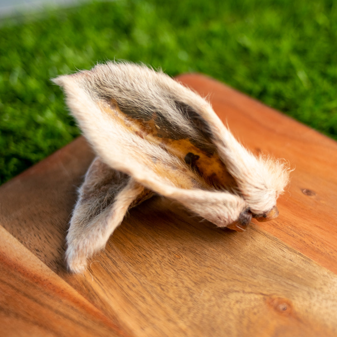 Pick 'n' Mix | Lamb Ear with Fur | 1 Pce