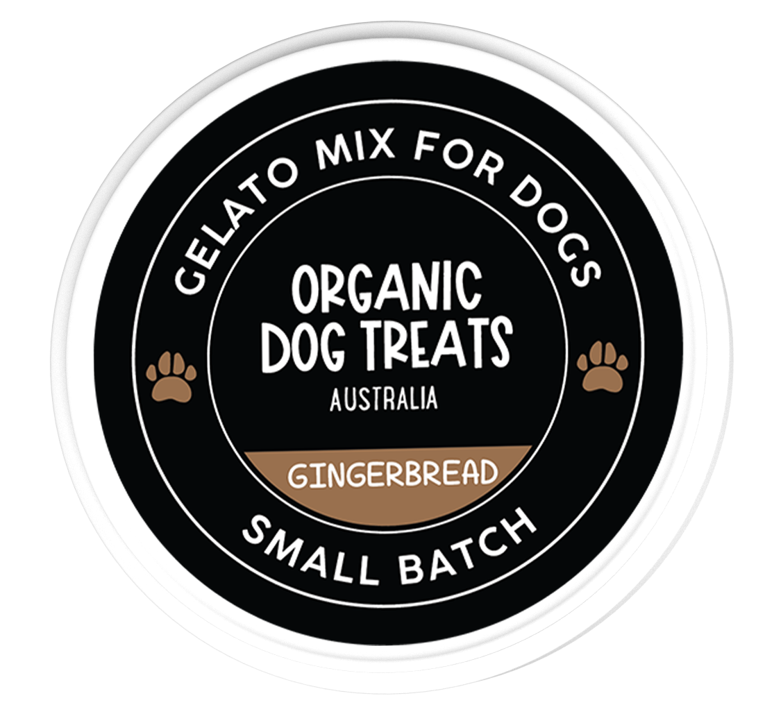 DOG TREATS | Organic Dog Treats: Dog Gelato DIY Kit - Christmas Gingerbread