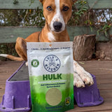 DOG SUPPLEMENT | Rover Pet Products: Hulk - Anti-inflammatory & Immune System Booster Supp