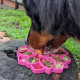 Soda Pup: Mandala eTray Slow Feeder eTray: Pink