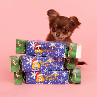 DOG TREATS | Rover Pet Products: Christmas Bon Bon 2024