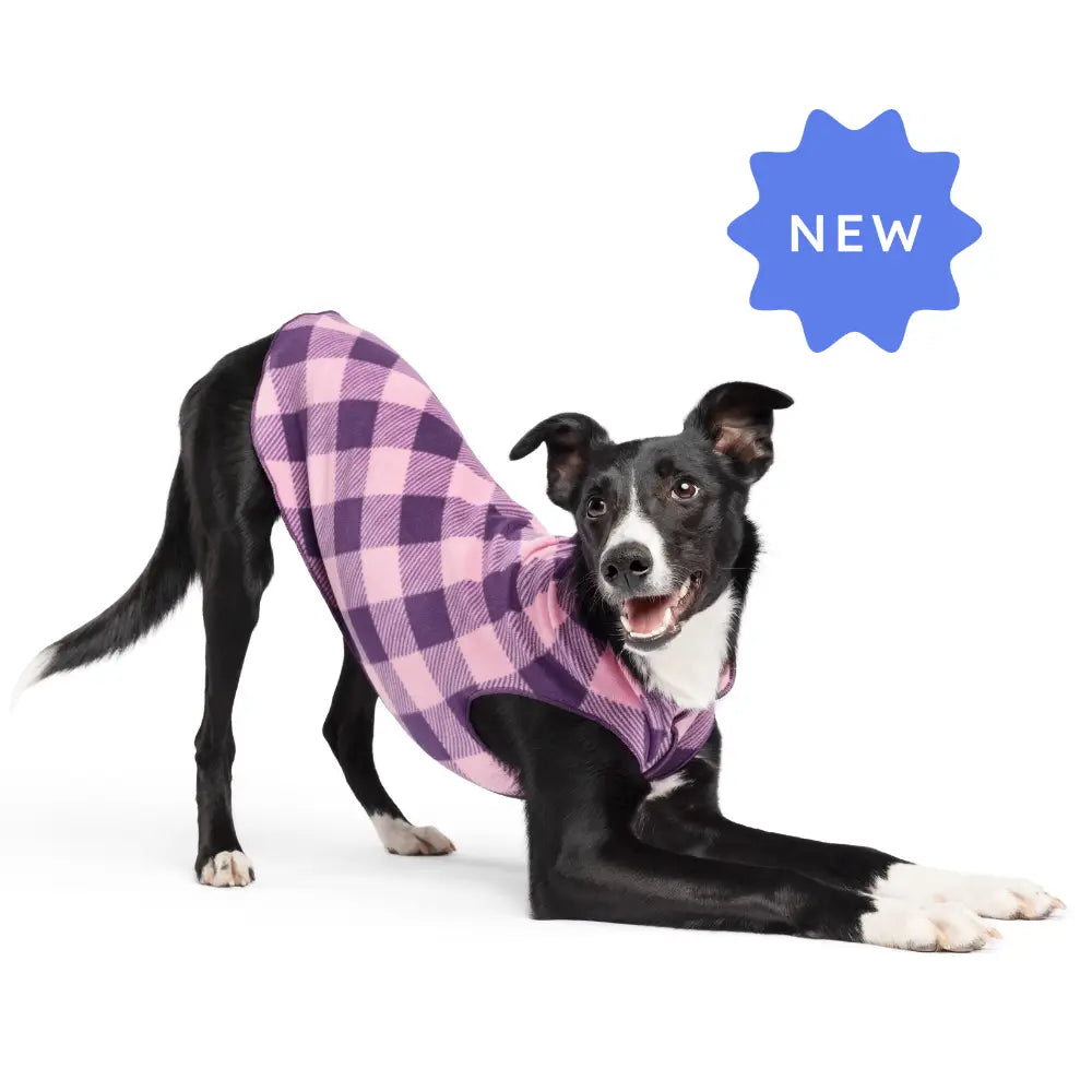 DOG STRETCH FLEECE | Goldpaw: Rose Buffalo Check