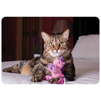 MULTIPET (CAT): Unicorn Cat Toy - Pink