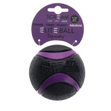 Scream: Elite Ball SQUEAKY Loud Black & Purple XL