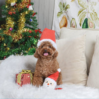 HUGSMART: Super Ball Happy Woofmas - Santa