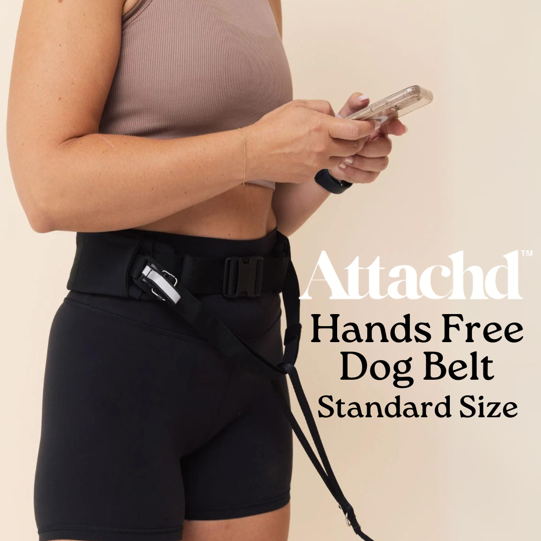 ATTACHD | The Attachdᵀᴹ Hands-Free Dog Belt | Standard (70-120cm)