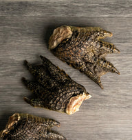 Pick 'n' Mix | Freeze Dried Croc Foot  | 1 Pce