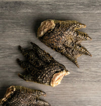 Pick 'n' Mix | Freeze Dried Croc Foot  | 1 Pce