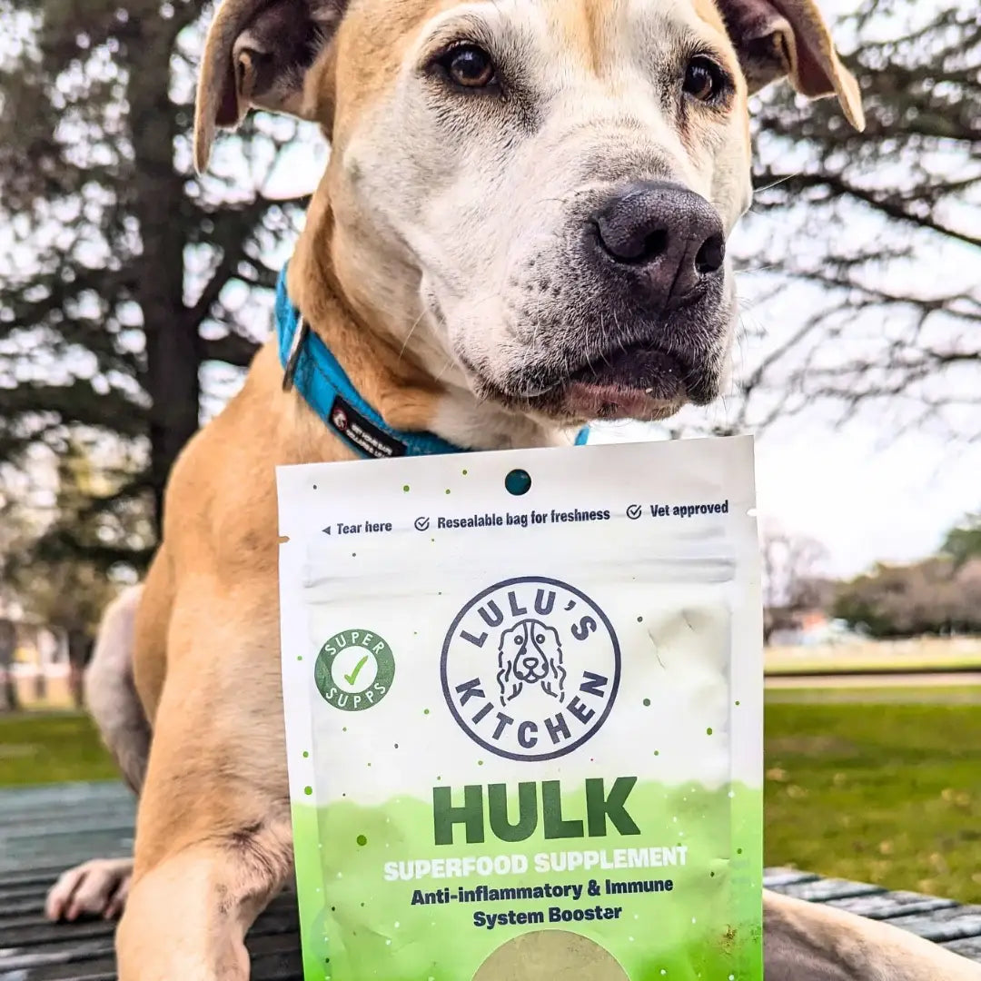 DOG SUPPLEMENT | Rover Pet Products: Hulk - Anti-inflammatory & Immune System Booster Supp