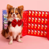 DOG TREATS | Rover Pet Products: Christmas Advent Calendar 2024