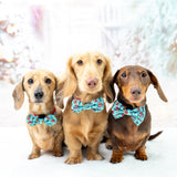 DOG COLLAR (+ BOW TIE option): Official Gift Sniffer (NEW!)