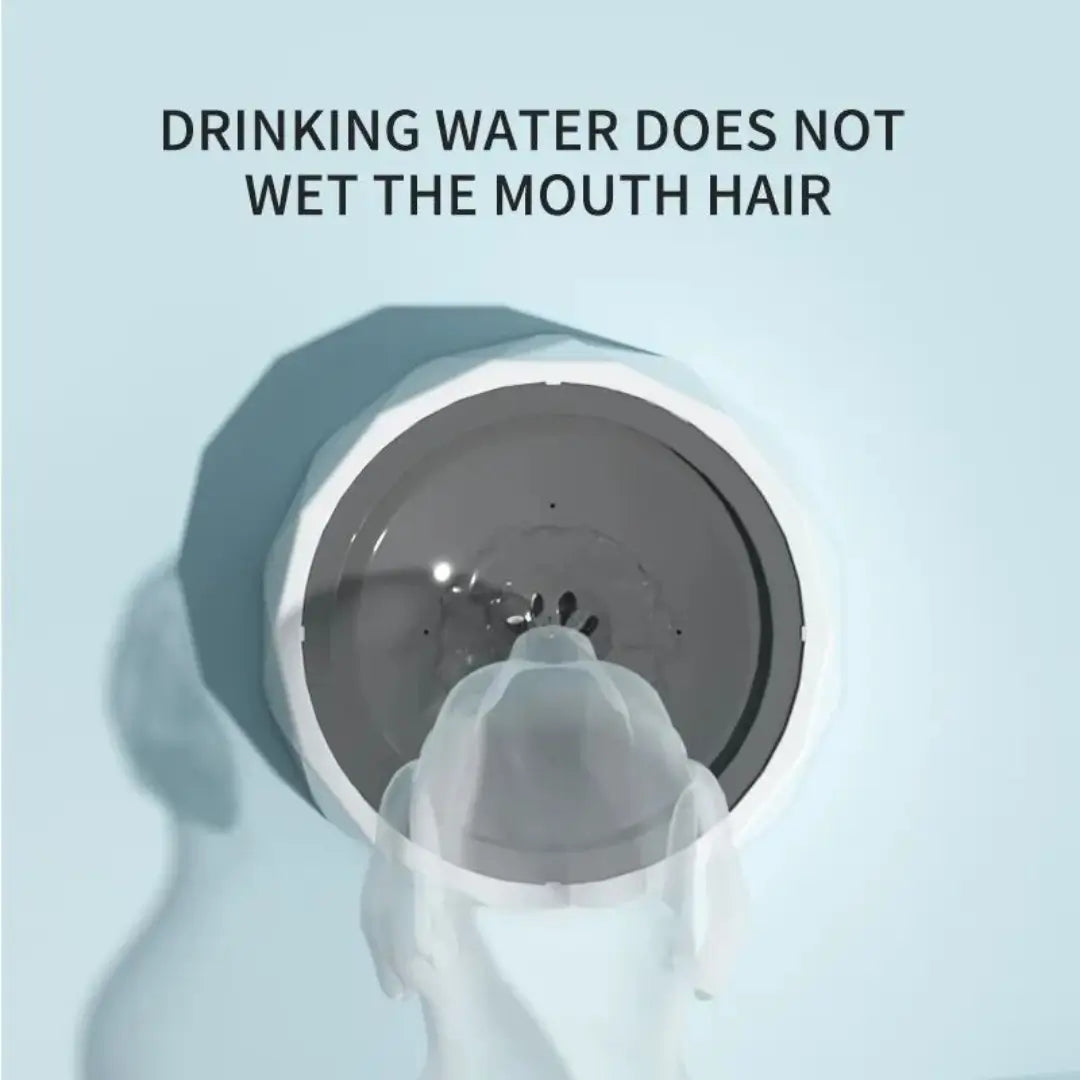 All Fur You: Anti Splash Bowl - Diamond Round