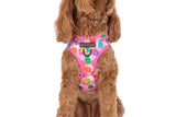 ADJUSTABLE DOG HARNESS: Beary Sweet